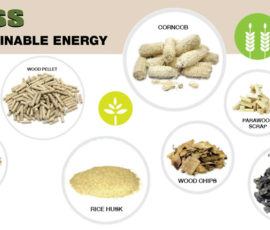 Biomass - Future Sustainable Energy
