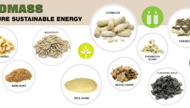Biomass - Future Sustainable Energy