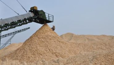 Dam go dăm gỗ woodchip