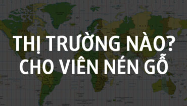 THI TRUONG VIEN NEN GO