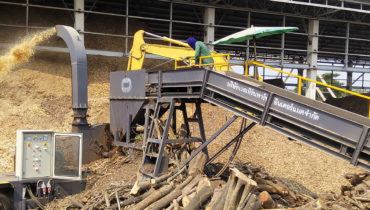 thailand wood-chip