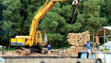 vien nen go wood pellet