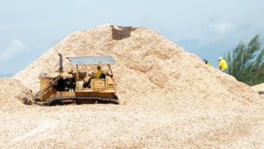 woodchip dam go