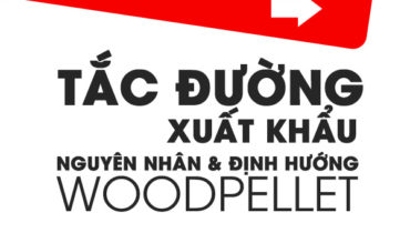 xuat khau vien nen go wood pellet