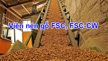 vien-nen-go-fsc