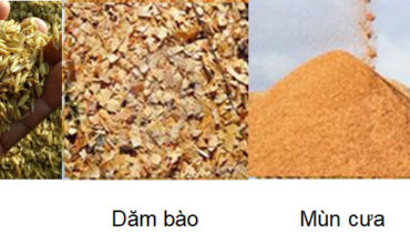 cong nghe biomass