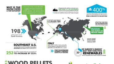 wood pellet production (11)