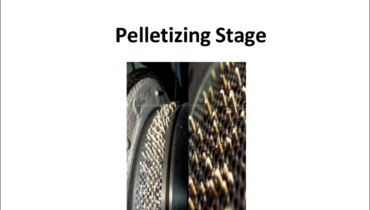 wood pellet production (20)