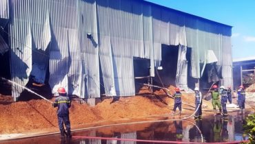 Công ty TNHH Xuất nhập khẩu Năng Lượng Xanh