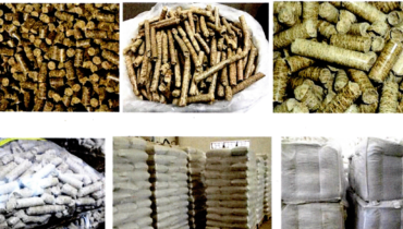 vien nen mun cua wood pellet