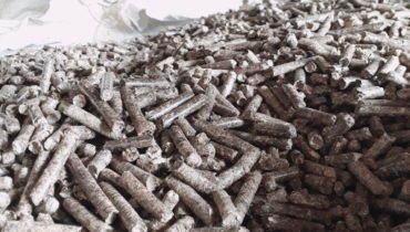 woodpellet vietnam