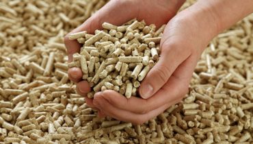 woodpellets vietnam