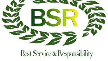 logo bsr wood