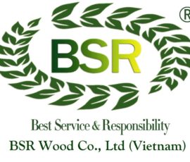 BSR WOOD CO LTD Logo