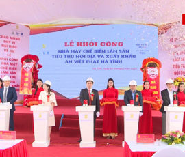 an viet phat ha tinh