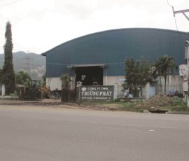 cty tnhh sx tm truong phat binh dinh