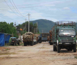 Công ty CP Năng lượng sinh học Phú Tài (nay là Công ty CP Năng lượng Bình Định)